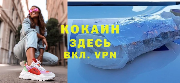 шишки Белокуриха