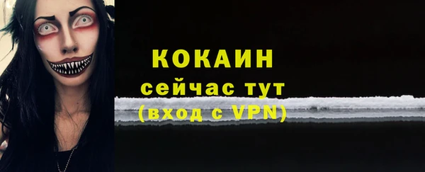 шишки Белокуриха