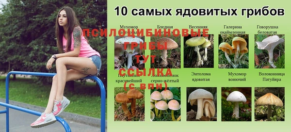 ALPHA-PVP Беломорск