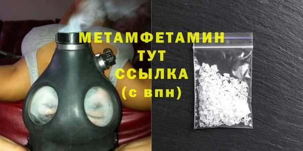 шишки Белокуриха