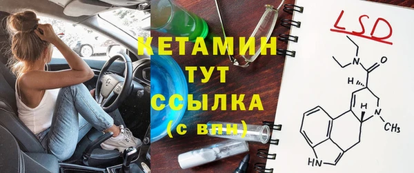 шишки Белокуриха