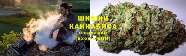 шишки Белокуриха