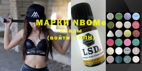 шишки Белокуриха