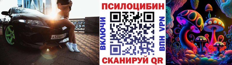 Псилоцибиновые грибы мицелий  Купить закладки  Вязники 